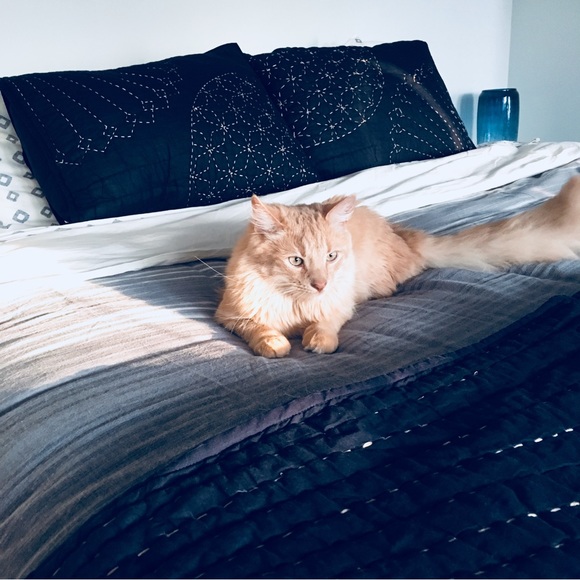 Meet your Posher, Rachel - Picture 4 of 4